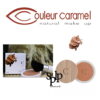 Couleur Caramel Terre caramel Poudre bronzante visage N°28 halé nacré